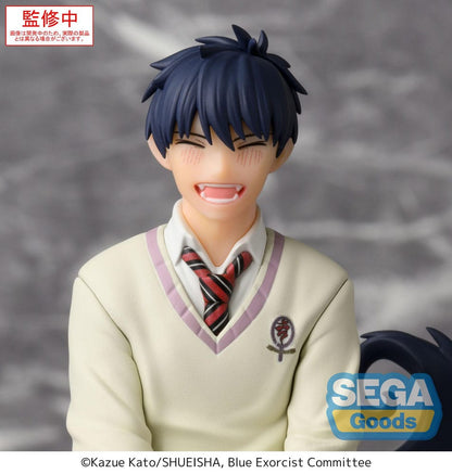 Blue Exorcist PM Perching PVC Statue Rin Okumura 14 cm - AniMuchuu