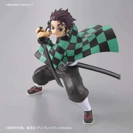 Demon Slayer Model Kit PVC Figure Tanjiro Kamado 13 cm - AniMuchuu