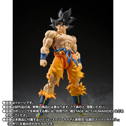 Dragon Ball Z S.H.Figuarts Action Figure Frieza: Full Power 13 cm - AniMuchuu